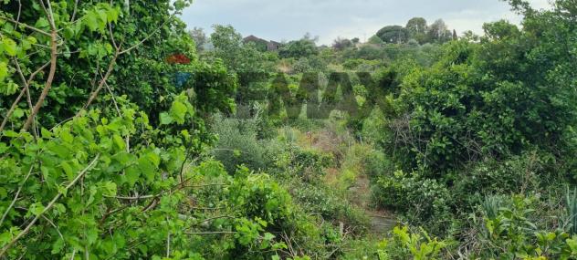 Terreno in vendita a Misterbianco - Foto 9