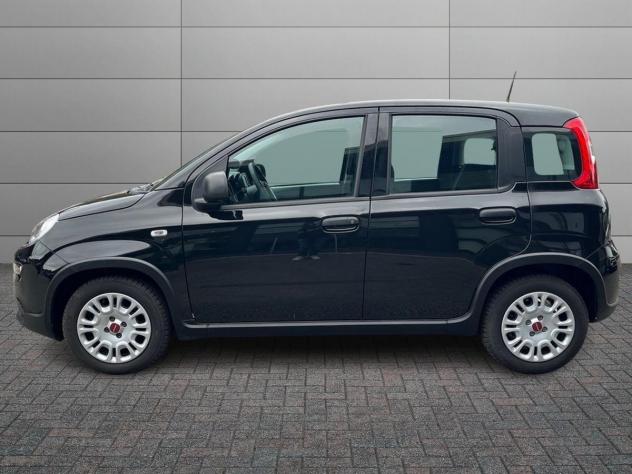 FIAT Panda 1.0 FireFly 70cv S&S Hybrid - Foto 2
