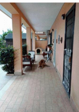 Immobile in asta di 100 m² in vendita a Anzio - Foto 5
