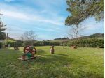 Porzione di casa in vendita a Casciana Terme Lari 260 mq  Rif: 1449023