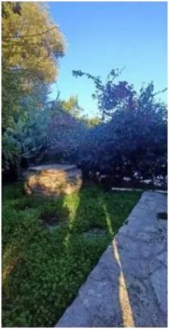 Immobile in asta di 249 m² in vendita a Ostuni - Foto 3