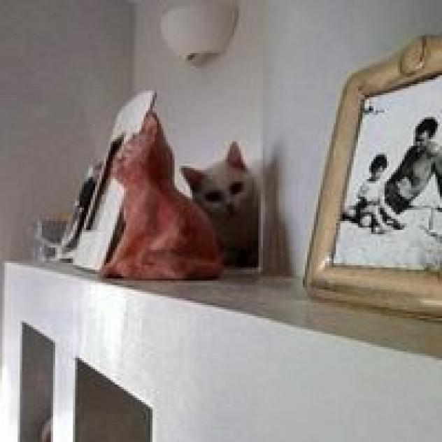 La Casina dei Gatti