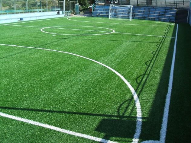 VENDITA A ROMA CENTRO SPORTIVO CON CAMPO DA CALCIO - Foto 4