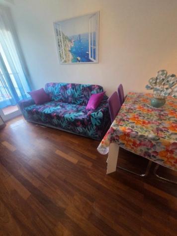 Milano - Via Rembrant 27ottimo appartamento -in locazione . mq 65 bilocale ristrutturato - euro 1200 comprese le spese . 3384983769 - 3337486559 insta - Foto 10