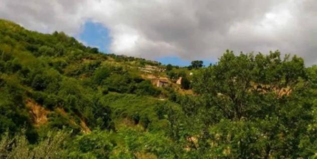 Immobile in asta di 10767 m² in vendita a Luzzi - Foto 6