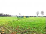 TERRENO AGRICOLO MQ 28.000