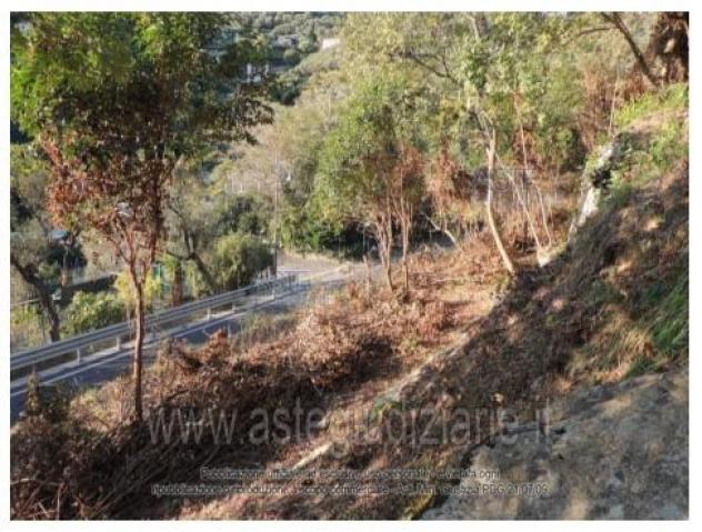 IMMOBILI-ALTRA CATEGORIA-Via Crosin del Diavolo Strada Vicinale - Foto 2