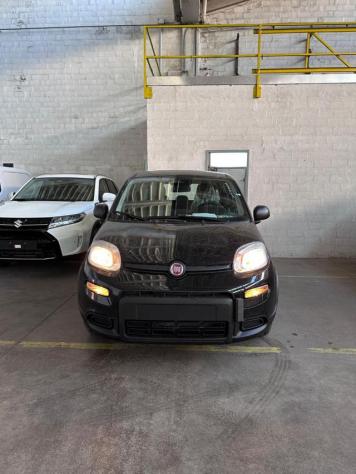 FIAT Panda New Panda 1.0 FireFly S&S Hybrid rif. 21779212 - Foto 2