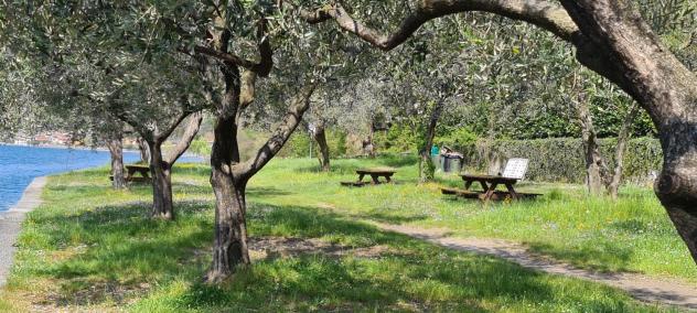 APPARTAMENTO di 2 vani e di 45 mq (MONTE ISOLA) rif. 80210 - Foto 11