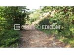 Terreno di 5430 mq  in vendita a Luzzi - Rif. 4550067