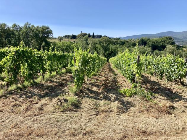 Casale in vendita a Montescudaio - Foto 10