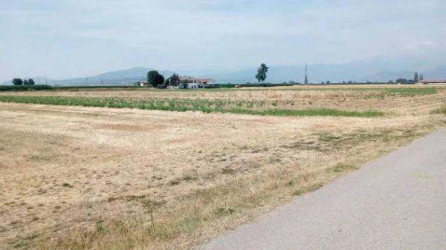 Immobile in asta di 5000 m² in vendita a Saluzzo - Foto 3