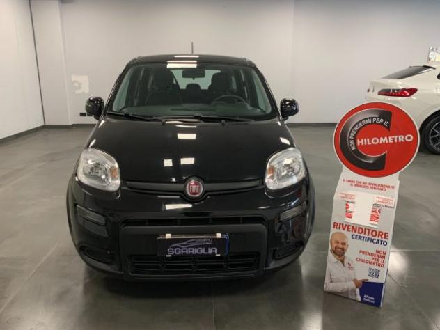 FIAT Panda 1.0 Benzina Hybrid City Life rif. 24052147 - Foto 2