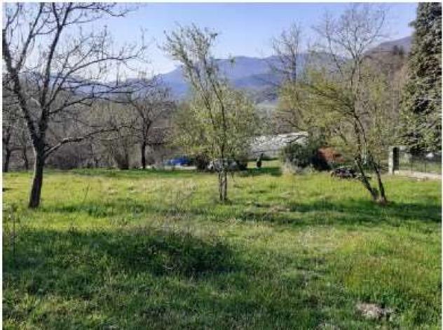 20/2025 2 VA - Casa rurale singola con terreni in asta a Montegrino V. - Foto 17