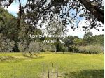 Scarperia - Nel verde villetta con garage e giardino