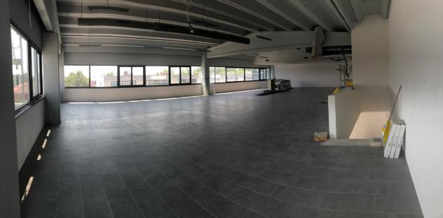 Ufficio in affitto a Carrara