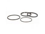 Kit paraoli puleggia scooter Honda Polini 242033