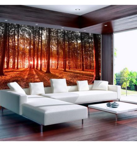 Fotomurale Adesivo Nella Foresta Rossa Arredalacasa