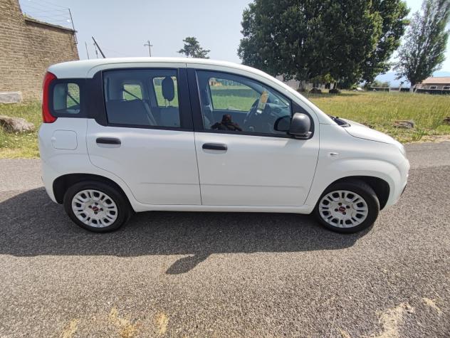 Fiat Panda 1.2 GPL DELLA CASA - Foto 4