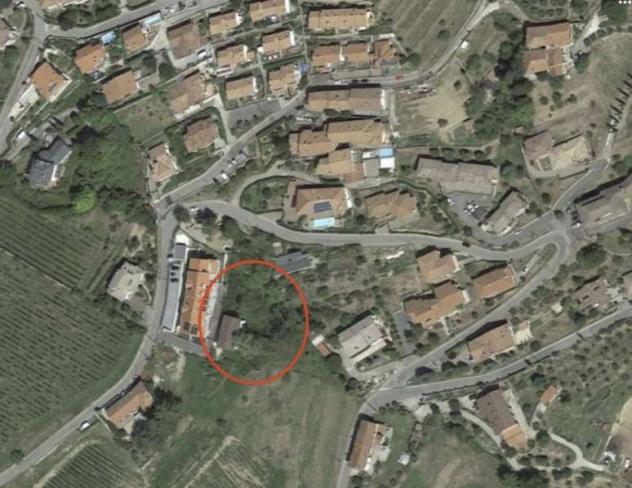 232/2025 U BG - due terreni a Foresto Sparso - Foto 6