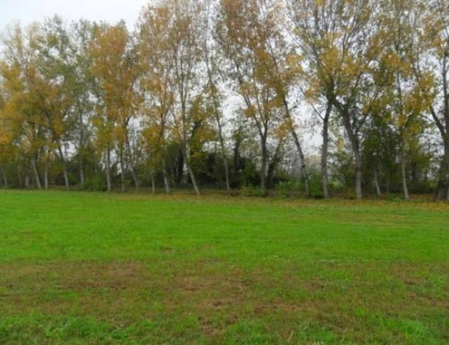 Immobile in asta di 34013 m² in vendita a Monte Cremasco - Foto 2