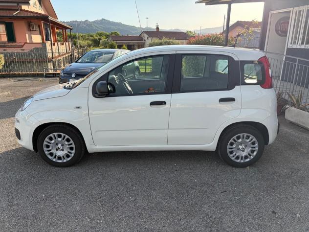 FIAT Pandina 1.0 FireFly 65cv S&S 6m Hybrid Icon - Foto 4