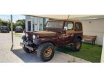 Jeep CJ-7 GOLDEN EAGLE ISCRITTA ASI 5.0 V8