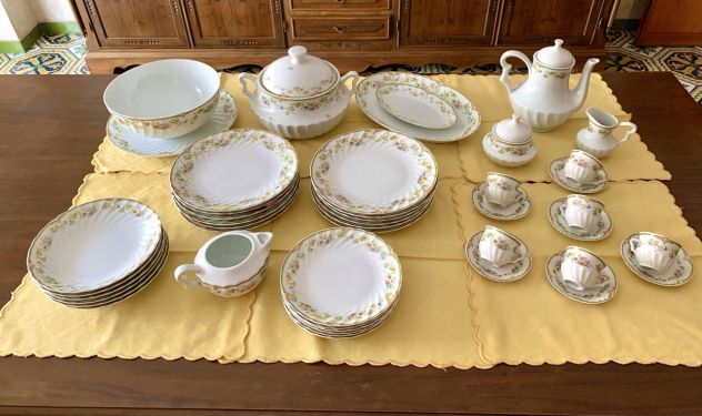 MAGNIFICO SERVIZIO NUOVO LIMOGES COULEUVRE PER 6