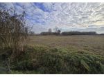 191/2025 2 BS -  terreni agricoli in asta a Leno