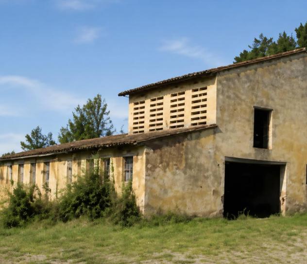 Azienda agricola in vendita a Montopoli in Val d'Arno 2000 mq Rif: 1449630 - Foto 2