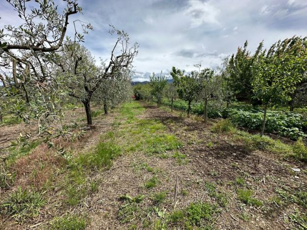 Terreno agricolo in vendita a Castelnuovo Magra 1850 mq Rif: 1127698 - Foto 3
