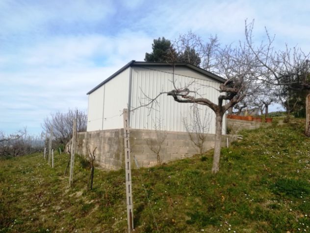 Pescara Terreno Agricolo con 2 Fabbricati - Foto 3