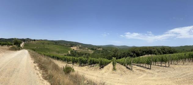 Terreno agricolo in vendita a Castelnuovo Berardenga 1000000 mq Rif: 1287145