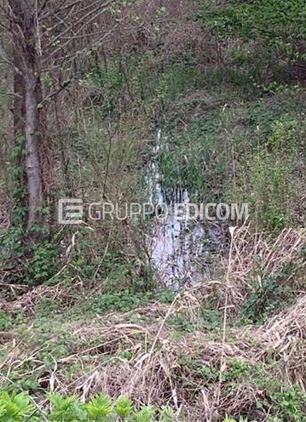 Terreno di 29309 mq in vendita a Cerea - Rif. 4549341 - Foto 4