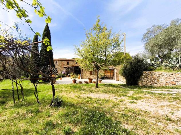 Vendita Rustico casale da 215 mq con giardino - Foto 13