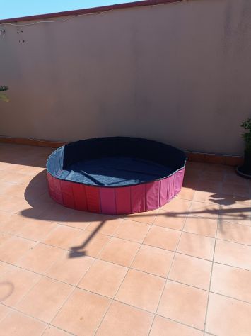 Piscina terrazzo per cani XXL - Foto 2