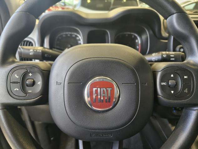 FIAT Panda Cross 1.0 FireFly 70cv S&S Hybrid Cross - Foto 10