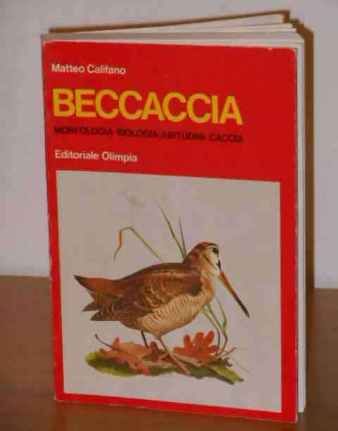 Beccaccia, Matteo Califano, Editoriale Olimpia 1971. - Foto 3