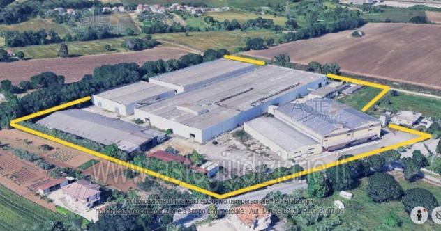 IMMOBILI-IMMOBILE INDUSTRIALE-Via dei Platani, Strada Provinciale n. 30, Cepagatti PE, Italia - Foto 2