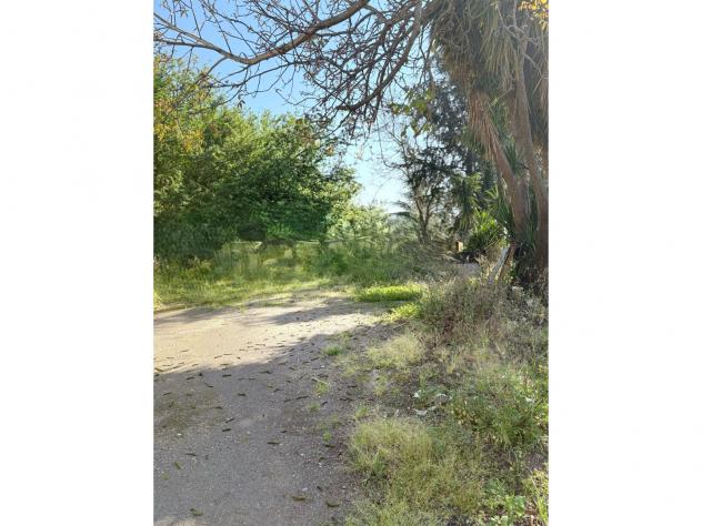 Agricolo in Via Provinciale Per Castello - Foto 5