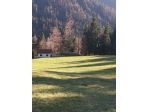 Terreno per villaggio chalet o glamping