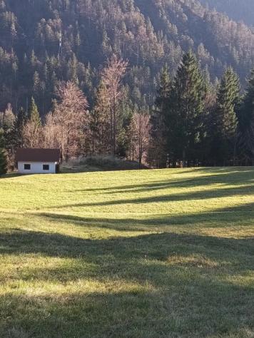 Tre baite con 22.000mq di terreno e bosco - Foto 3