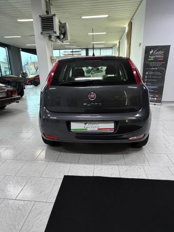 Fiat Punto 1.2 8V 5 porte Street - Foto 6