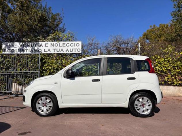 FIAT Panda 1.2 Easy NEOPATENTATI rif. 24199963 - Foto 4