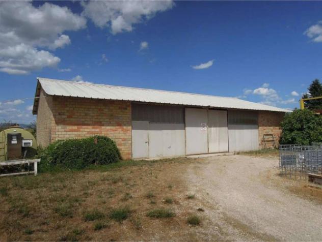 Immobile in asta di 120600 m² in vendita a Bastia Umbra - Foto 4