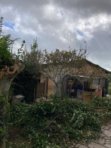 VILLA di 5 vani e di 75 mq (PIETRASANTA - Pietrasanta campagna ) rif. 081 - Foto 4