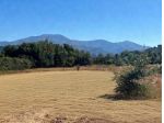 Terreno in vendita a Castiglione di Sicilia