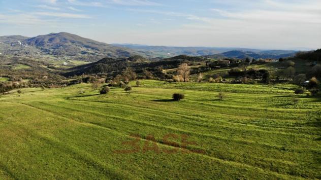 Casale in vendita a Pomarance - Foto 7
