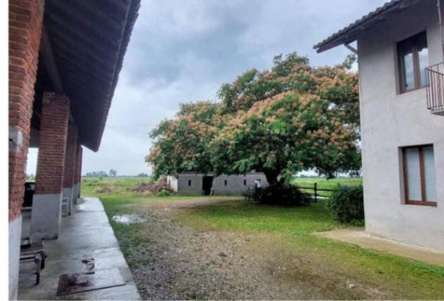 Immobile in asta di 2878 m² in vendita a Cassolnovo - Foto 12