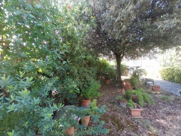 Villa in vendita a Rosignano Marittimo